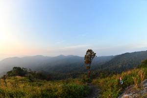 BIB: 
                            <button type="button" onclick="openModal(13576039)" class="btn btn-primary btn-sm float-right btn-popup" data-toggle="modal" data-target=".modal-high-quality">
                        <i class="fas fa-shopping-cart"></i> Add to Cart
                    </button>
                                            <button type="button" onclick="isThisMe(13576039, true)" class="btn btn-success btn-sm float-right btn-popup btn-isme hidden" data-toggle="tooltip" data-placement="bottom" title="นี่คือรูปของคุณใช่ไหม คลิกที่นี่เพื่อเอาเข้าอัลบั้ม">
                        <i class="fas fa-plus"></i> Add to album
                    </button>
                    <button type="button" onclick="isThisMe(13576039, false)" class="btn btn-warning btn-sm float-right btn-popup btn-isnotme hidden">
                        <i class="fas fa-ban"></i> Remove from album
                    </button>